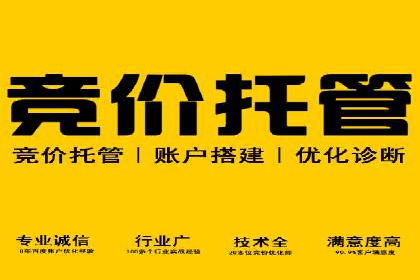 百度广告费用案例，揭秘成功广告秘诀